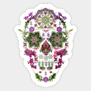 Dream Skull Sticker